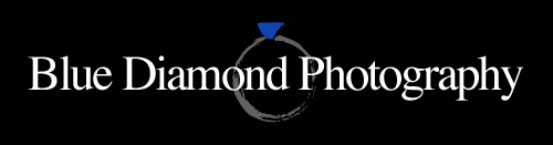 Blue Diamond Photography Blog logo
